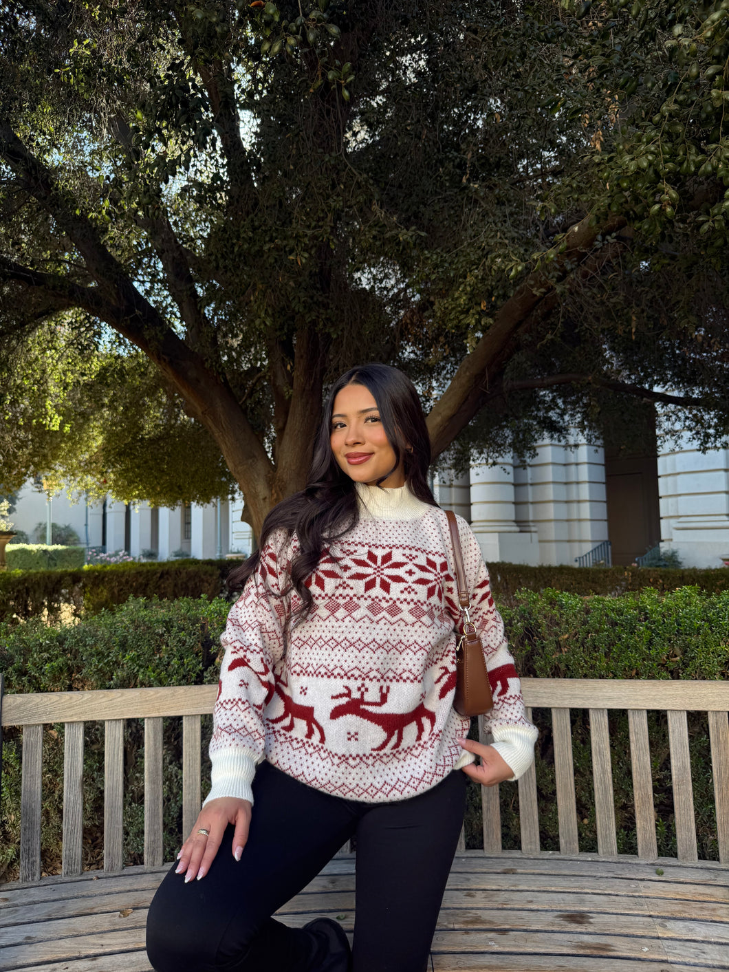 Holiday Reindeer Knit