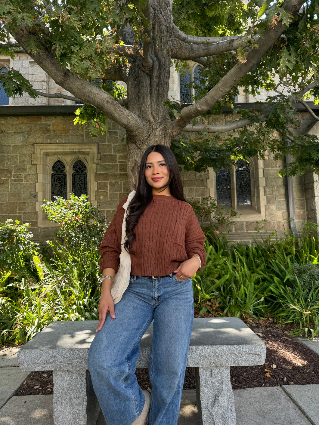 Dreamy Cable Knit (Brown)